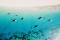 Boats in blue ocean and white sand beach on tropical island. Aerial view Royalty Free Stock Photo