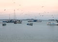 Boats in Buzios, Brazil