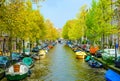 Boats and cars resting side by side in Amsterdam