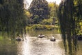 Boats in Central Park lake Royalty Free Stock Photo