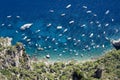 Boats on cristal water in capri, summertime Royalty Free Stock Photo