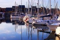 Boats in Deauville on a beautiful sunset Royalty Free Stock Photo