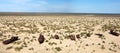 Boats in desert - Aral sea Royalty Free Stock Photo