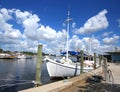 Boats docked at downtown Tarpon Springs, Florida