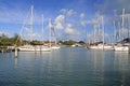 Boats Docked at Jolly Harbour Marina in Antigua Royalty Free Stock Photo