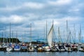 Boats docked in a large marina