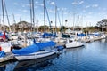 Boats docked at Oceanside Harbor Royalty Free Stock Photo