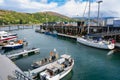 Boats docked in the port of the tourist town of Ullapool in Scotland. Royalty Free Stock Photo