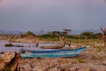 Boats docked on the shore of Lake Baringo