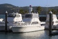 Boats docked in Whitsunday Island Marina Royalty Free Stock Photo