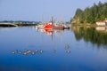 Boats and ducks in Charleston Harbor Oregon