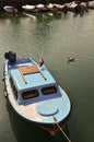 Boats and gulls