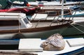 Boats at Harbor Royalty Free Stock Photo