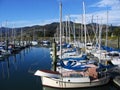 Boats in the harbor