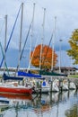 Boats in Harbor, Autumn Tree Royalty Free Stock Photo