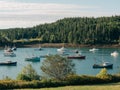 Boats in the harbor of Cutler, Maine Royalty Free Stock Photo