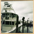 Boats in harbor, Destin, Florida