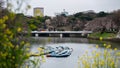 Boats on a lake with cherry blossom trees at Chidorigafuchi Park, Tokyo, Japan