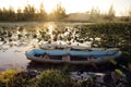 Boats in Lotus Swamp Royalty Free Stock Photo