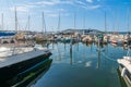 Boats in the marina of Bouzigues on the pond of Thau, in Herault, Occitanie, France