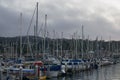 Boats in a marina on a cloudy day