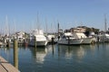 Boats at a marina