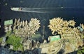 Boats moored on the bank of the Buriganga look like flowers in a bird eye view but the boatmen have no peace of mind with earning Royalty Free Stock Photo