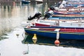 Boats moored in the dock of Lake Garda Royalty Free Stock Photo