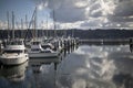 Boats moored at a harbor dock among numerous other vessels Royalty Free Stock Photo