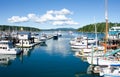 Boats moored at marina in Friday Harbor