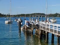 A view at Lady Martins Beach in Sydney Harbour