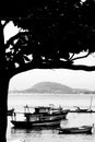 Boats moored in Rio de Janeiro