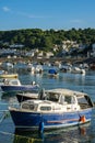 Boats moored on the River Looe