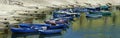 Boats moored at tourist port of Bisceglie,