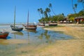 Boats moored on tropical beach Royalty Free Stock Photo