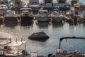 Boats mooring in marina