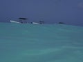 The boats near the island Saona in Dominicana