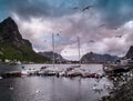 Boats near moorage in Reine village