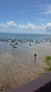 Lembongan Island Seaweed Farming Royalty Free Stock Photo