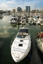 Boats in Ocean Village marina