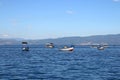 Boats on Ohrid lake Macedonia landscape Royalty Free Stock Photo