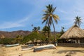 Boats and Palm Trees in beach by the village of Taganga in the Caribbean Coast of Colombia