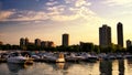 boats parking at Chicago yatch harbor at sunset