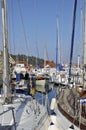 Boats in the port of Theoule sur Mer in France Royalty Free Stock Photo