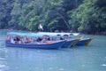 Boats in Pulau Dayang