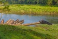 Boats of Rapti River in the Royal Chitwan National Park, Nepal Royalty Free Stock Photo