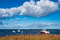 Boats and reeds on the Baltic Sea in Denmark Royalty Free Stock Photo