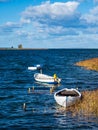 Boats and reeds on the island Moen on the Baltic Sea in Denmark Royalty Free Stock Photo