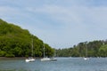 Boats and yachts moored Dart river Devon between Dartmouth and Totnes