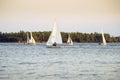 Boats sailing in a regatta in late evening